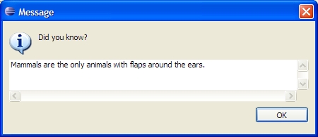 Information Dialog